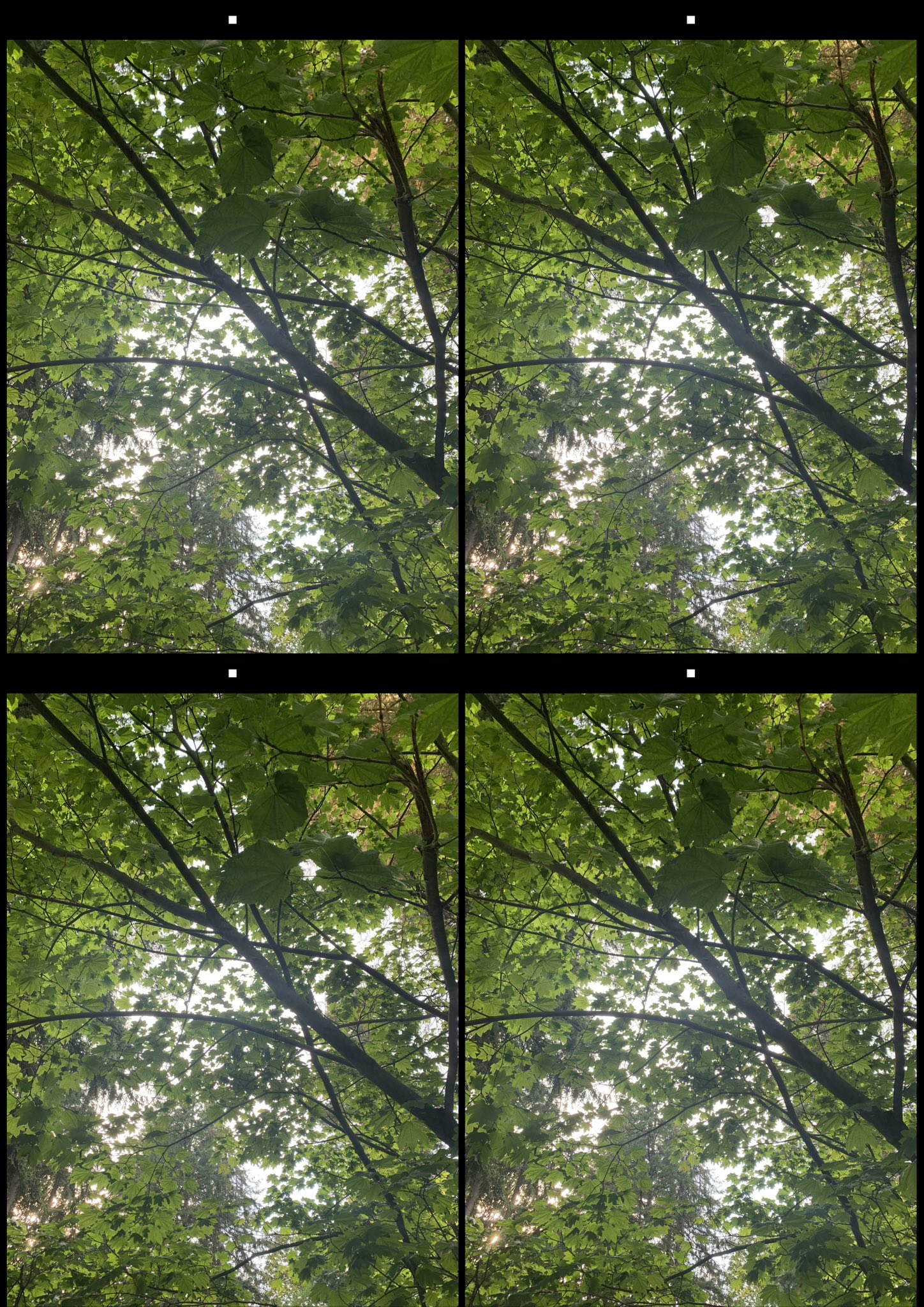 stereo image