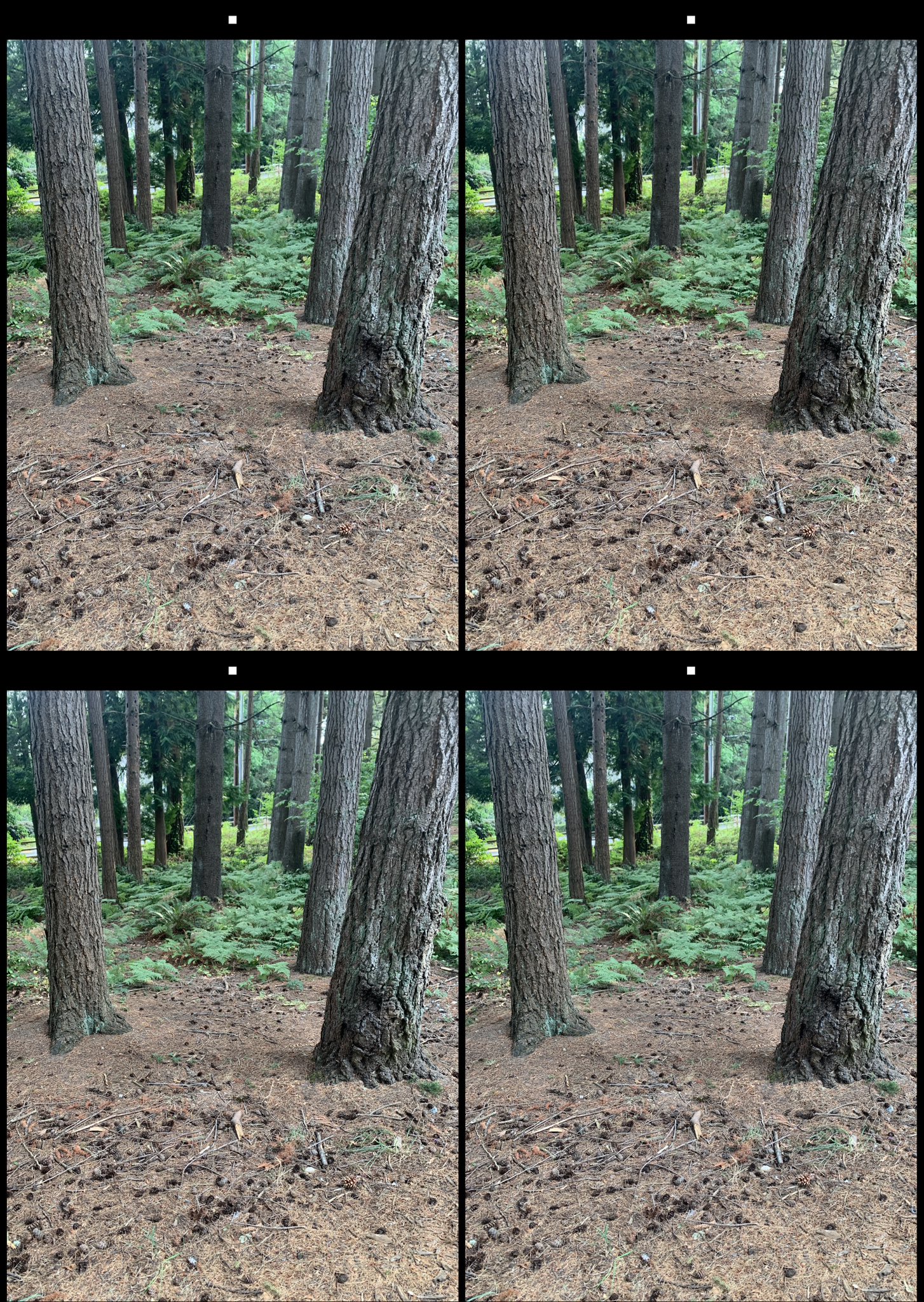 stereo image