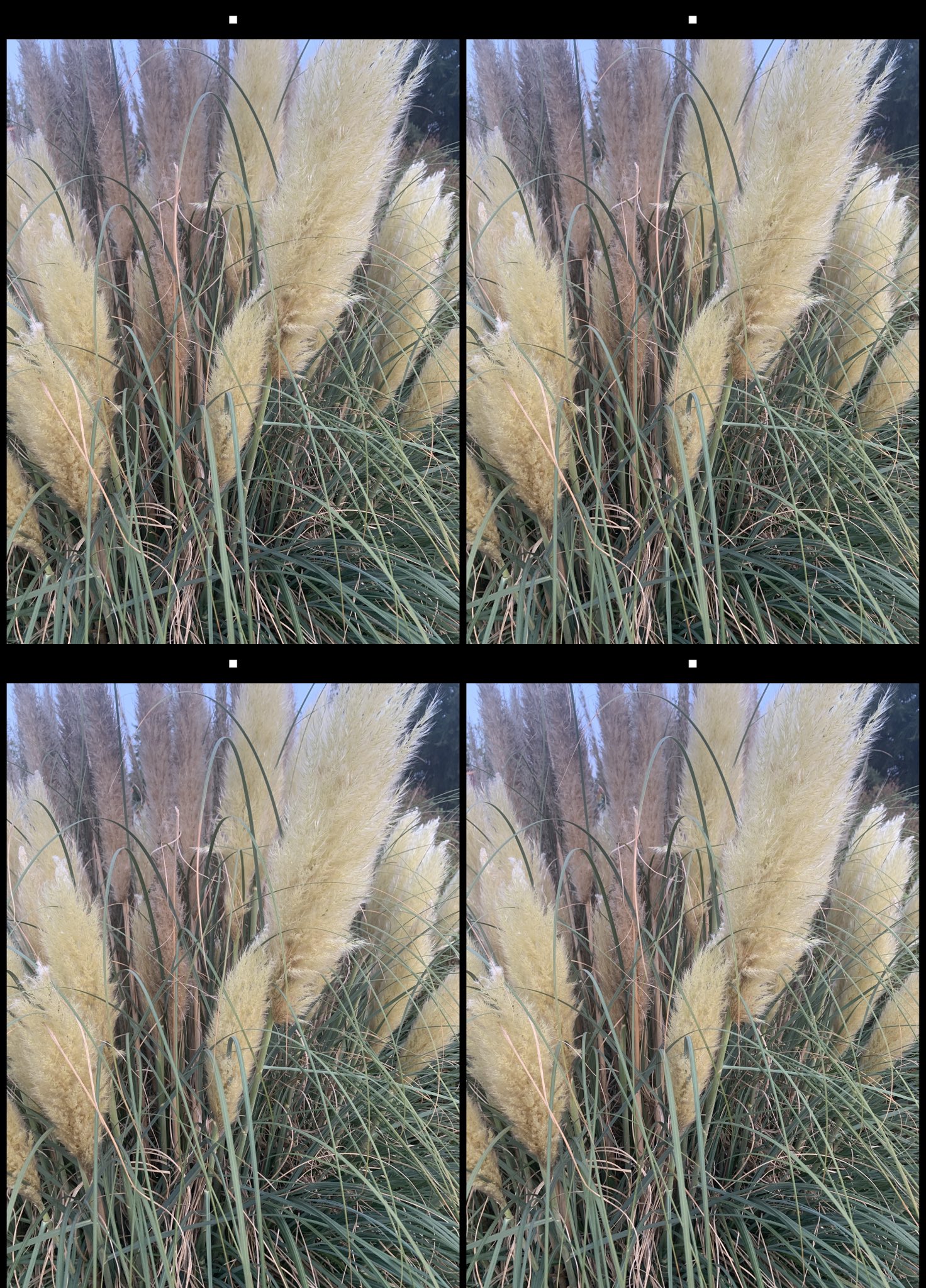stereo image