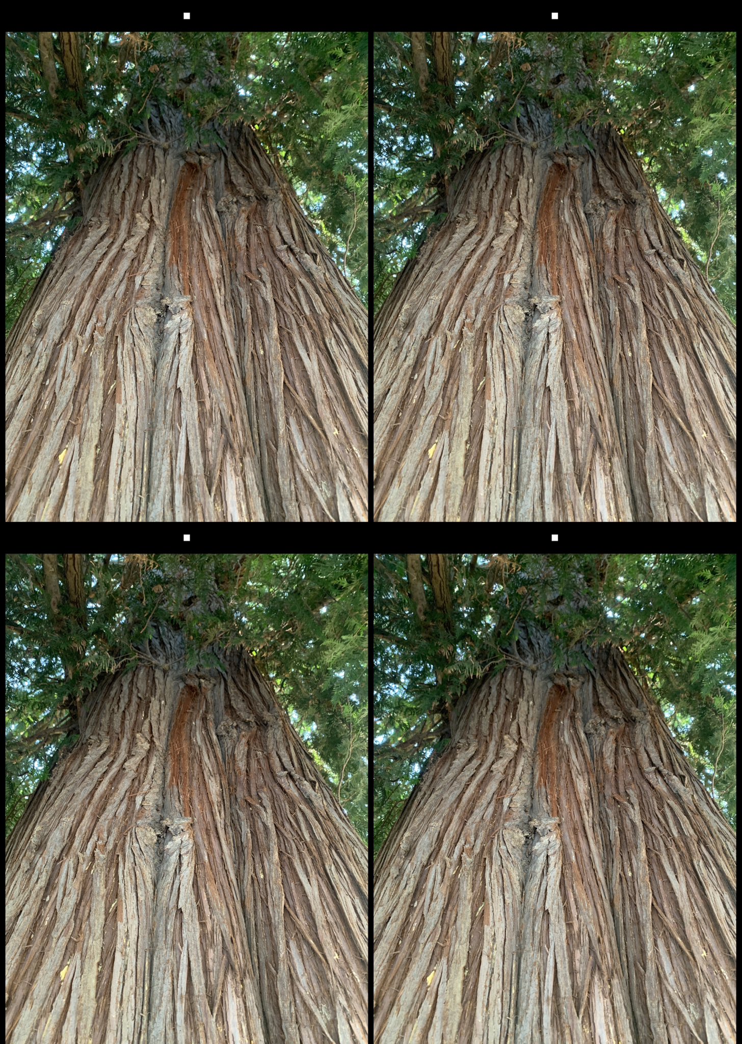 stereo image