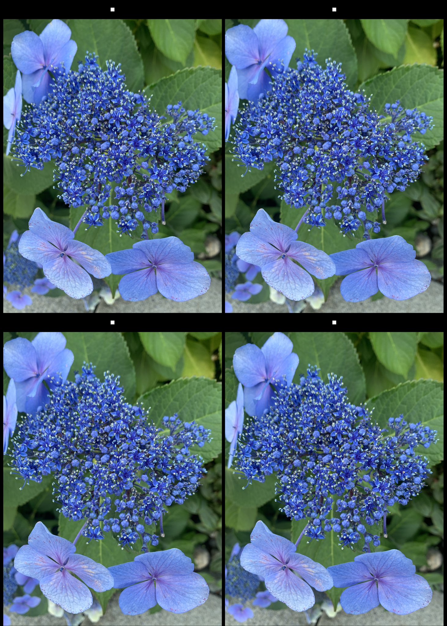 stereo image