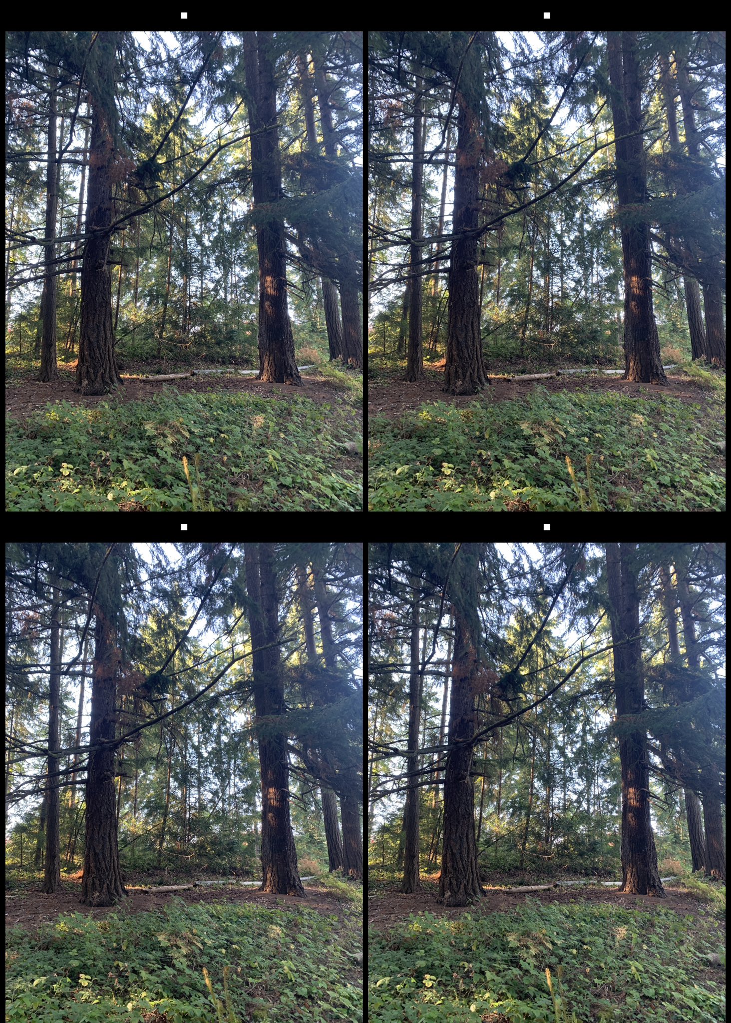 stereo image