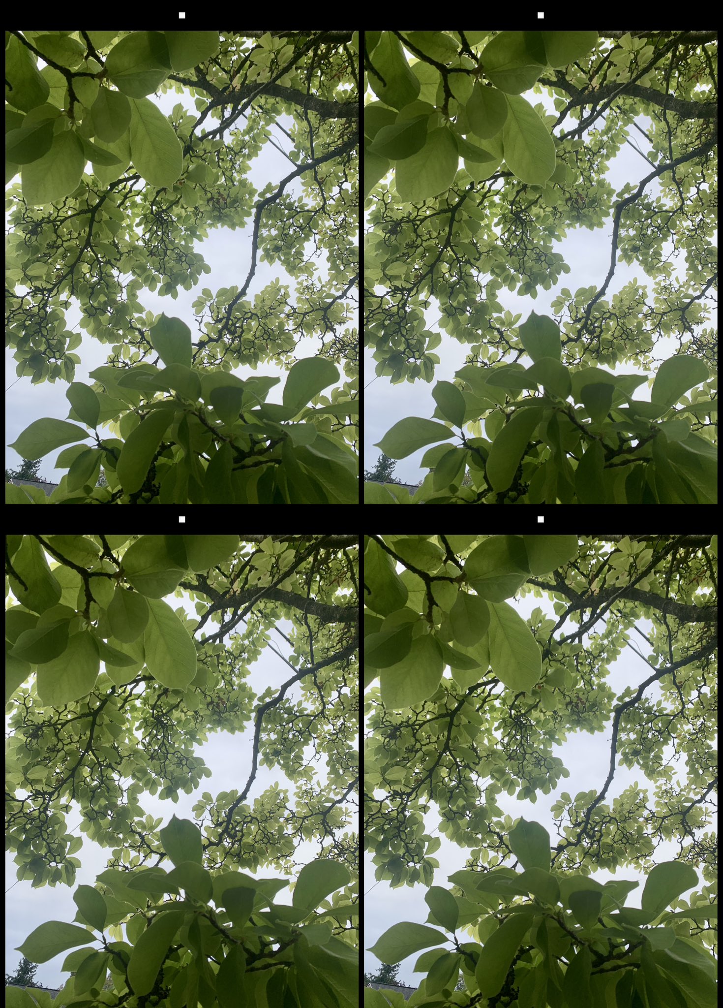 stereo image