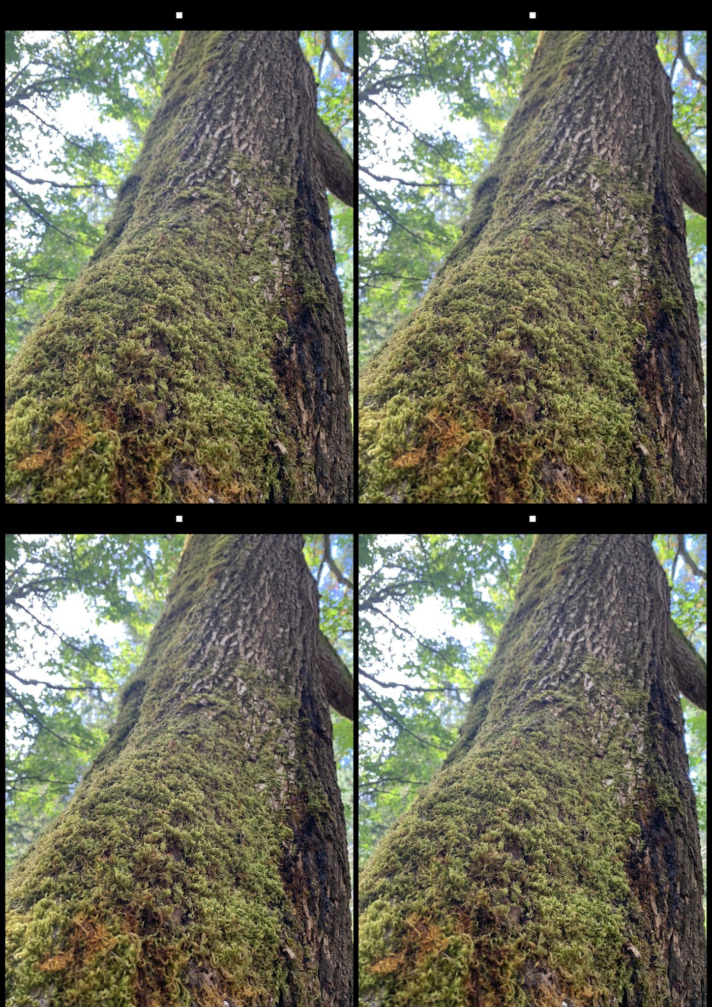 stereo image