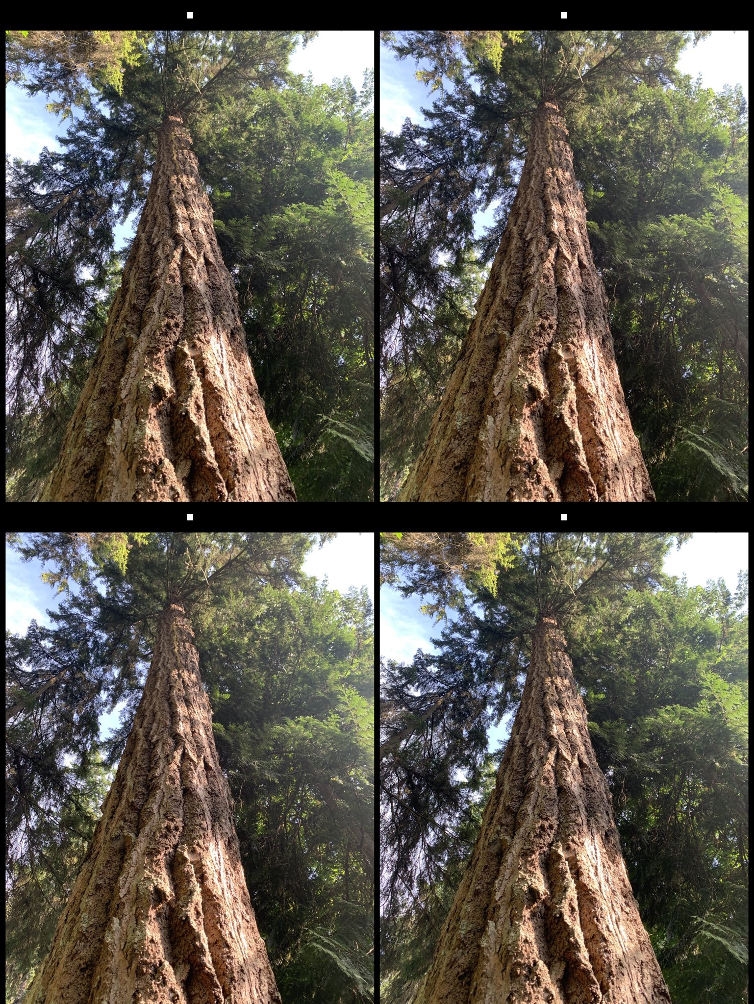 stereo image