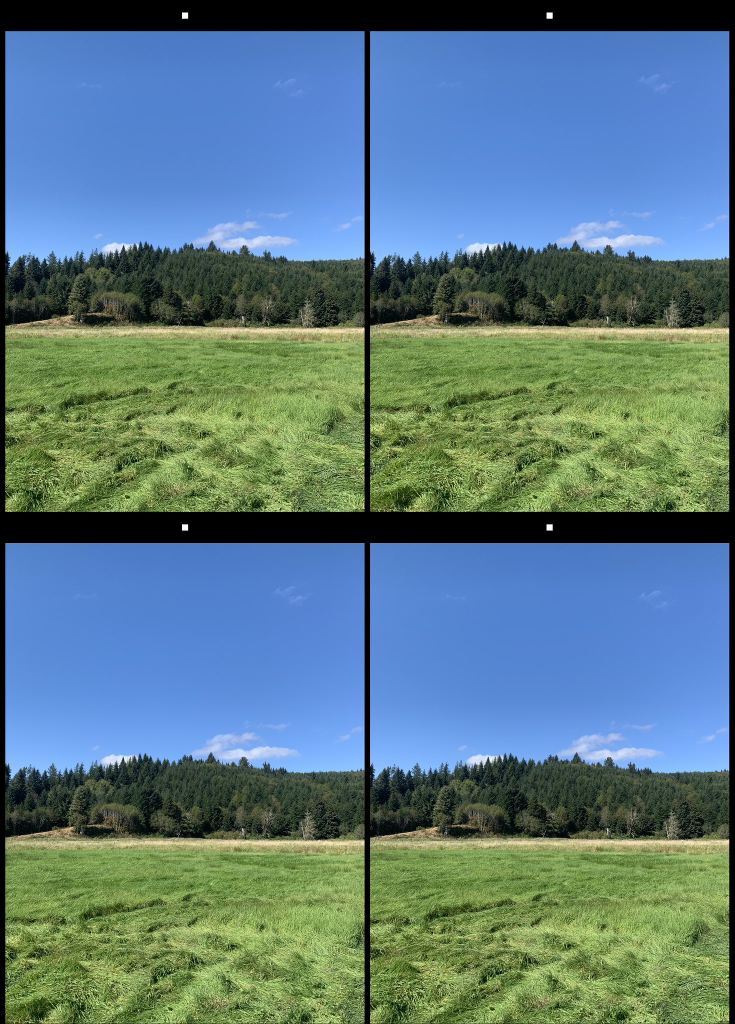 stereo image