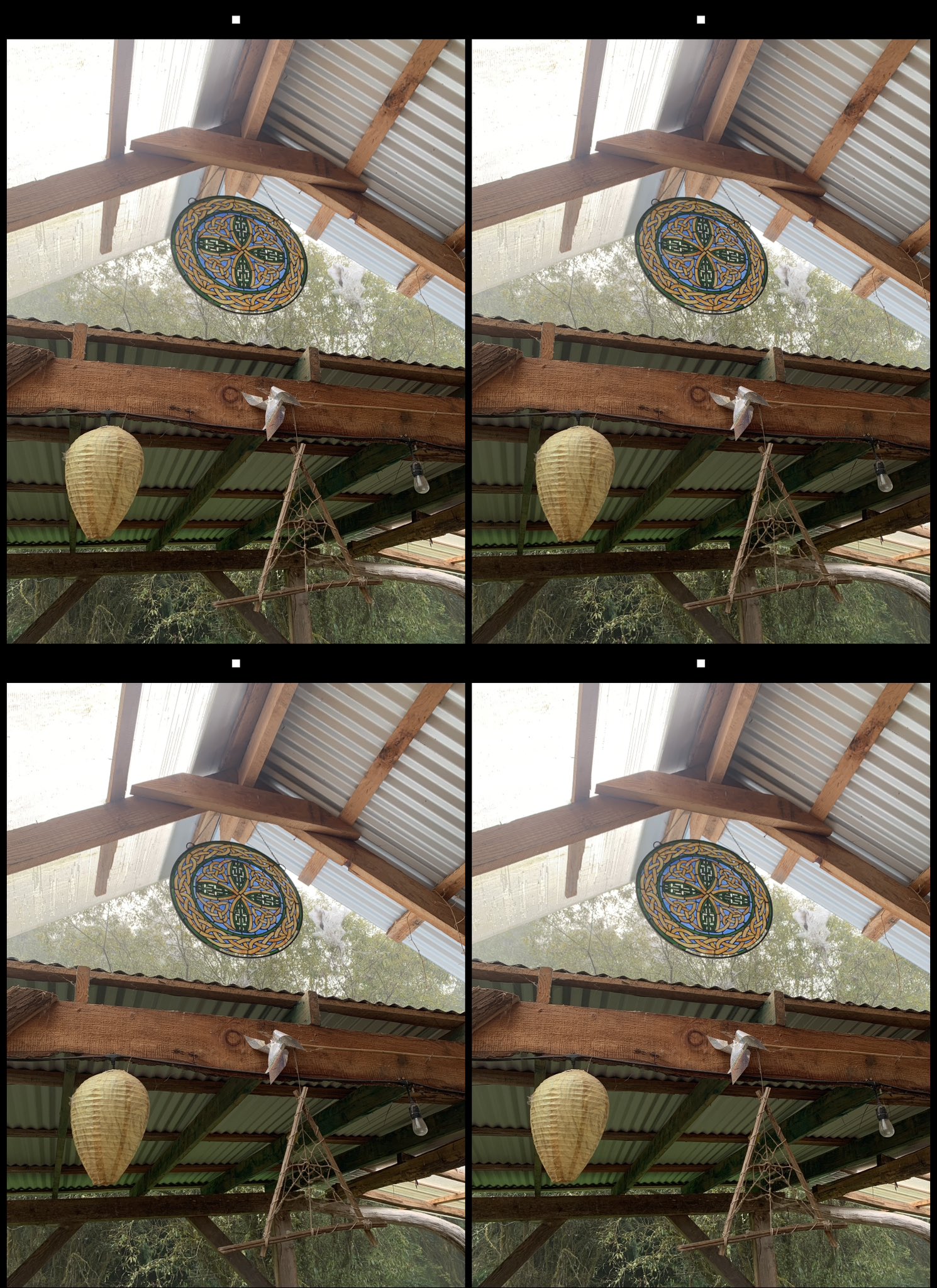 stereo image