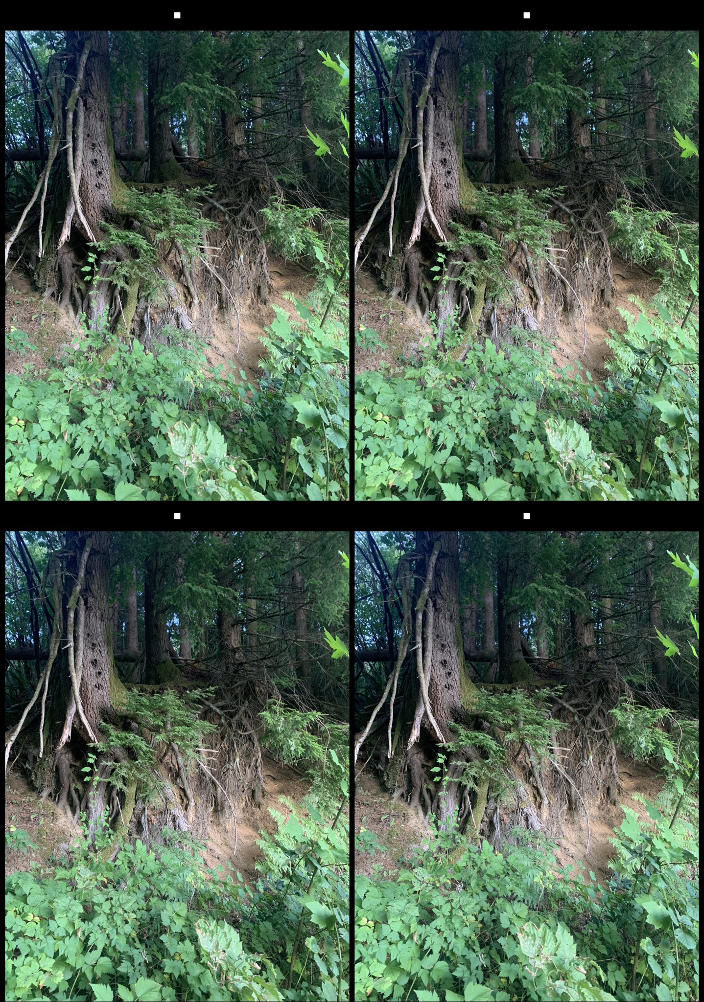 stereo image