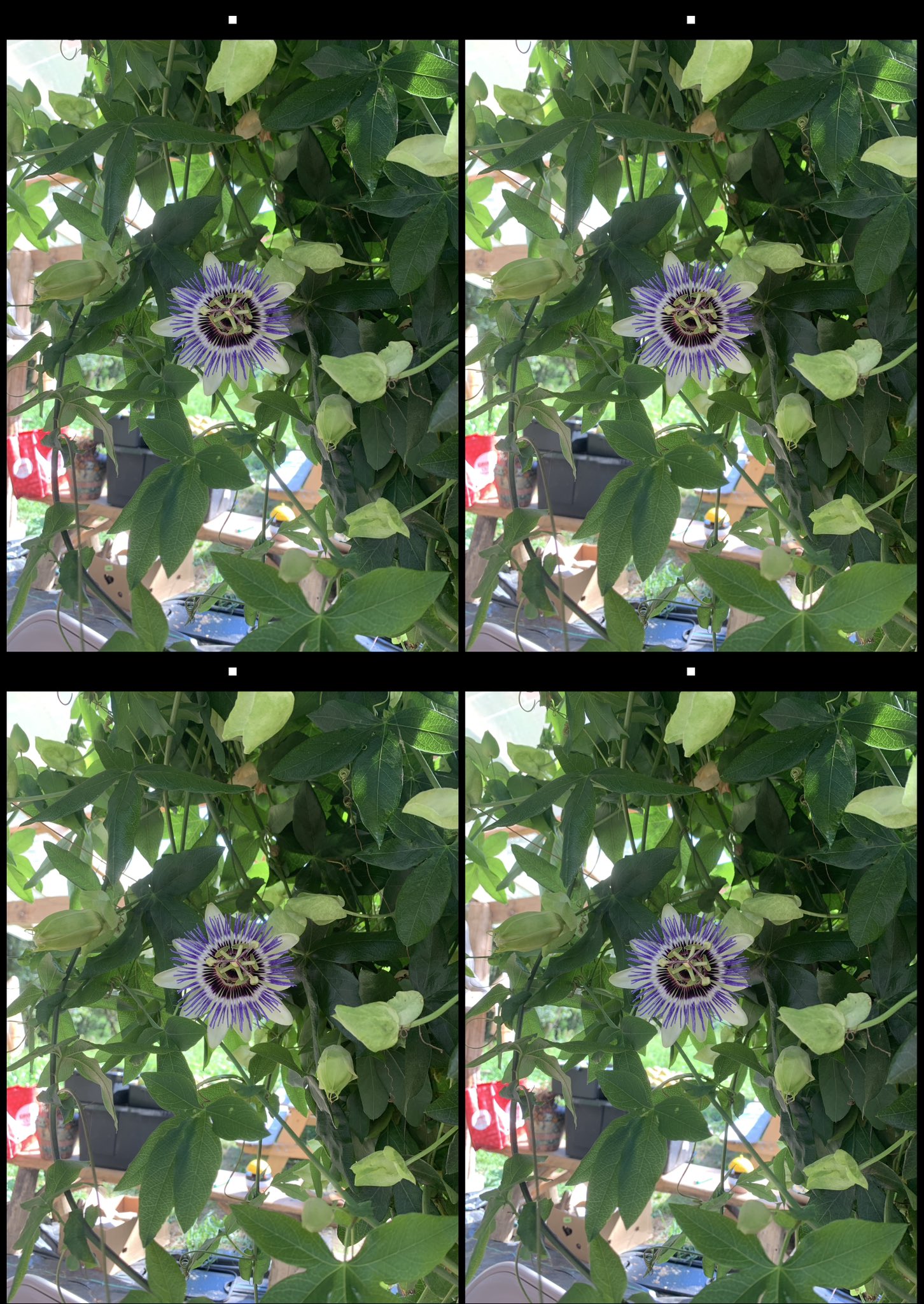 stereo image
