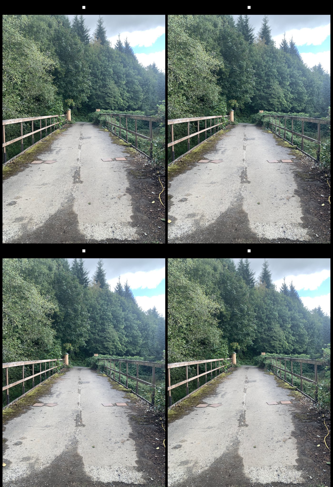 stereo image