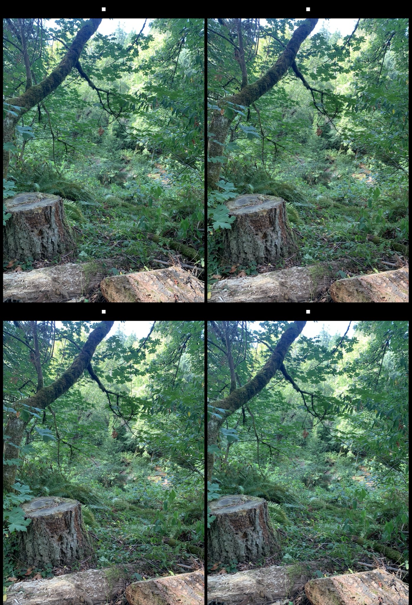 stereo image